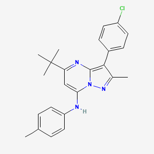 molecular formula C24H25ClN4 B12199059 5-tert-butyl-3-(4-chlorophenyl)-2-methyl-N-(4-methylphenyl)pyrazolo[1,5-a]pyrimidin-7-amine 