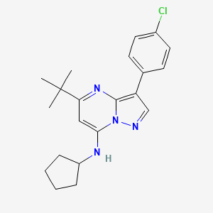 molecular formula C21H25ClN4 B12200019 5-tert-butyl-3-(4-chlorophenyl)-N-cyclopentylpyrazolo[1,5-a]pyrimidin-7-amine 