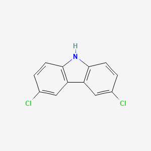 molecular formula C12H7Cl2N B1220011 3,6-二氯咔唑 CAS No. 5599-71-3