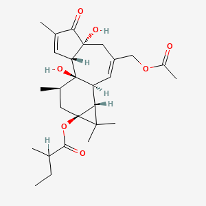 molecular formula C27H38O7 B1220087 12-脱氧-福波醇-13-α-甲基丁酸-20-乙酸酯 CAS No. 25090-73-7