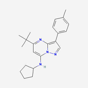 5-tert-butyl-N-cyclopentyl-3-(4-methylphenyl)pyrazolo[1,5-a]pyrimidin-7-amine