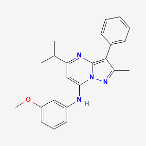 N-(3-methoxyphenyl)-2-methyl-3-phenyl-5-(propan-2-yl)pyrazolo[1,5-a]pyrimidin-7-amine