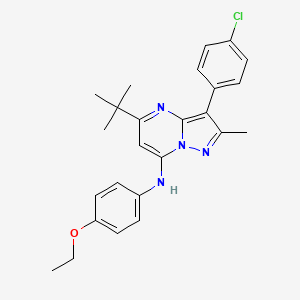 5-tert-butyl-3-(4-chlorophenyl)-N-(4-ethoxyphenyl)-2-methylpyrazolo[1,5-a]pyrimidin-7-amine