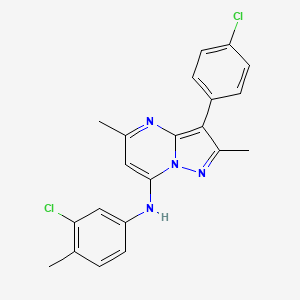 molecular formula C21H18Cl2N4 B12203601 N-(3-chloro-4-methylphenyl)-3-(4-chlorophenyl)-2,5-dimethylpyrazolo[1,5-a]pyrimidin-7-amine 