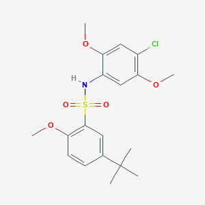 molecular formula C19H24ClNO5S B12203844 {[5-(Tert-butyl)-2-methoxyphenyl]sulfonyl}(4-chloro-2,5-dimethoxyphenyl)amine 