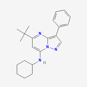 5-tert-butyl-N-cyclohexyl-3-phenylpyrazolo[1,5-a]pyrimidin-7-amine