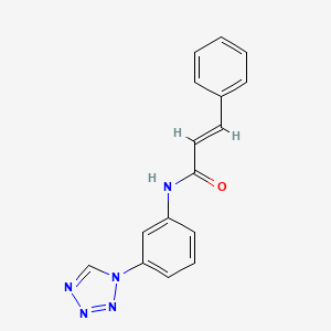 molecular formula C16H13N5O B12204604 (2E)-3-phenyl-N-[3-(1H-tetrazol-1-yl)phenyl]prop-2-enamide 