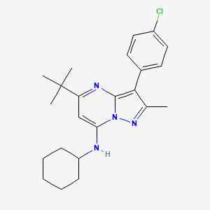 molecular formula C23H29ClN4 B12205313 5-tert-butyl-3-(4-chlorophenyl)-N-cyclohexyl-2-methylpyrazolo[1,5-a]pyrimidin-7-amine 