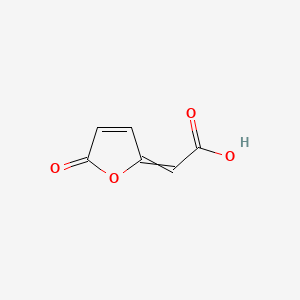 molecular formula C6H4O4 B1220532 4-Carboxymethylenebut-2-en-4-olide 