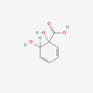 molecular formula C7H8O4 B1220536 1,2-Dihydroxycyclohexa-3,5-diene-1-carboxylate CAS No. 60463-06-1