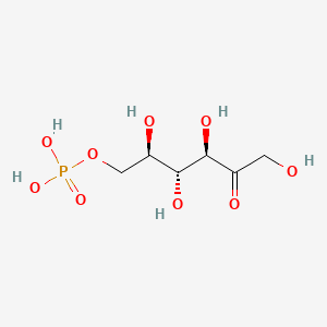 molecular formula C6H13O9P B1220611 D-psicose 6-phosphate CAS No. 4300-29-2