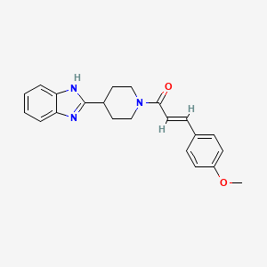 molecular formula C22H23N3O2 B12206562 (2E)-1-[4-(1H-benzimidazol-2-yl)piperidin-1-yl]-3-(4-methoxyphenyl)prop-2-en-1-one 