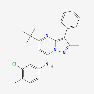 5-tert-butyl-N-(3-chloro-4-methylphenyl)-2-methyl-3-phenylpyrazolo[1,5-a]pyrimidin-7-amine