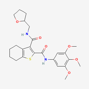 N~3~-(tetrahydro-2-furanylmethyl)-N~2~-(3,4,5-trimethoxyphenyl)-4,5,6,7-tetrahydro-1-benzothiophene-2,3-dicarboxamide