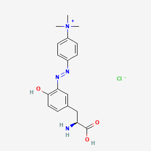 Tyrosine-4-azophenyltrimethylammonium chloride