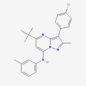 molecular formula C24H25ClN4 B12209827 5-tert-butyl-3-(4-chlorophenyl)-2-methyl-N-(3-methylphenyl)pyrazolo[1,5-a]pyrimidin-7-amine 