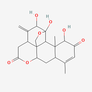 molecular formula C20H24O7 B1220989 4,5,17-Trihydroxy-14,18-dimethyl-6-methylidene-3,10-dioxapentacyclo[9.8.0.01,7.04,19.013,18]nonadec-14-ene-9,16-dione 