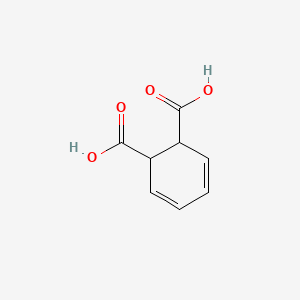 molecular formula C8H8O4 B1220991 1,2-Dihydrophthalic acid CAS No. 22919-28-4