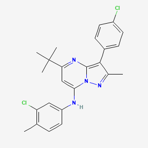 5-tert-butyl-N-(3-chloro-4-methylphenyl)-3-(4-chlorophenyl)-2-methylpyrazolo[1,5-a]pyrimidin-7-amine