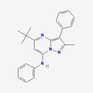 5-tert-butyl-2-methyl-N,3-diphenylpyrazolo[1,5-a]pyrimidin-7-amine