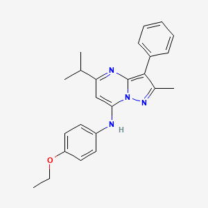 N-(4-ethoxyphenyl)-2-methyl-3-phenyl-5-(propan-2-yl)pyrazolo[1,5-a]pyrimidin-7-amine