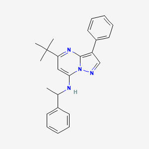 5-tert-butyl-3-phenyl-N-(1-phenylethyl)pyrazolo[1,5-a]pyrimidin-7-amine