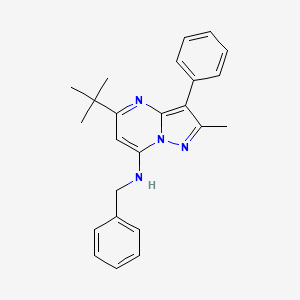 molecular formula C24H26N4 B12212677 N-benzyl-5-tert-butyl-2-methyl-3-phenylpyrazolo[1,5-a]pyrimidin-7-amine 