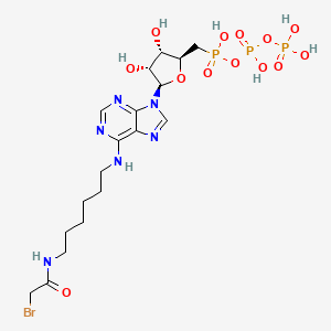 molecular formula C18H30BrN6O13P3 B1221281 N(6)-(6-Bromoacetamidohexyl)-amp.pcp CAS No. 66060-75-1