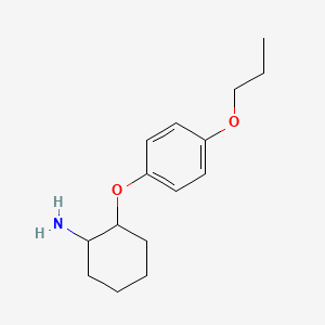 2-(4-Propoxyphenoxy)cyclohexan-1-amine