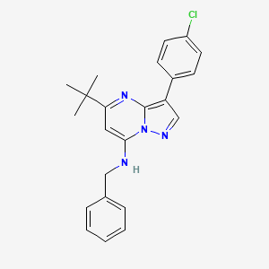 molecular formula C23H23ClN4 B12213331 N-benzyl-5-tert-butyl-3-(4-chlorophenyl)pyrazolo[1,5-a]pyrimidin-7-amine 