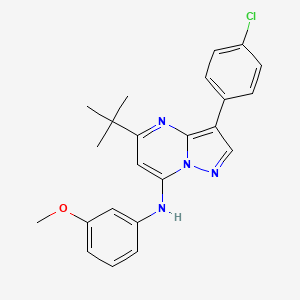 molecular formula C23H23ClN4O B12213784 5-tert-butyl-3-(4-chlorophenyl)-N-(3-methoxyphenyl)pyrazolo[1,5-a]pyrimidin-7-amine 