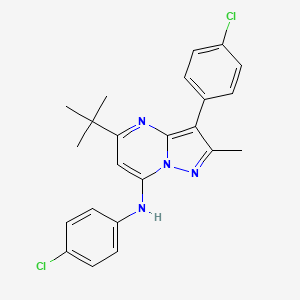 molecular formula C23H22Cl2N4 B12214299 5-tert-butyl-N,3-bis(4-chlorophenyl)-2-methylpyrazolo[1,5-a]pyrimidin-7-amine 