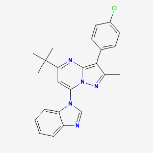 7-(1H-benzimidazol-1-yl)-5-tert-butyl-3-(4-chlorophenyl)-2-methylpyrazolo[1,5-a]pyrimidine