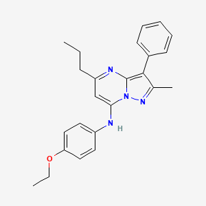 N-(4-ethoxyphenyl)-2-methyl-3-phenyl-5-propylpyrazolo[1,5-a]pyrimidin-7-amine