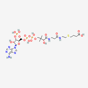 3-Carboxypropyl-coenzyme A