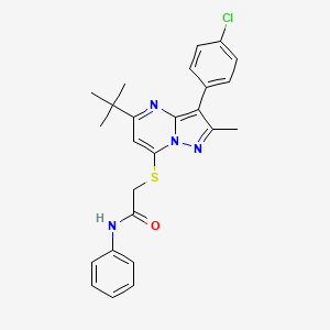 2-{[5-tert-butyl-3-(4-chlorophenyl)-2-methylpyrazolo[1,5-a]pyrimidin-7-yl]sulfanyl}-N-phenylacetamide