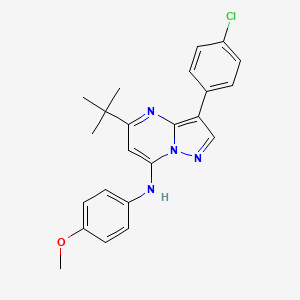 5-tert-butyl-3-(4-chlorophenyl)-N-(4-methoxyphenyl)pyrazolo[1,5-a]pyrimidin-7-amine