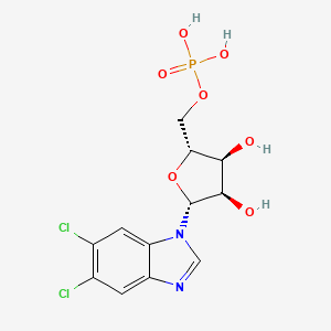 molecular formula C12H13Cl2N2O7P B1221699 5,6-Dichloro-1-ribofuranosylbenzimidazole 5'-monophosphate CAS No. 72586-79-9