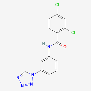 2,4-dichloro-N-[3-(1H-tetrazol-1-yl)phenyl]benzamide