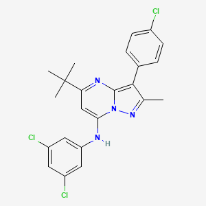 5-tert-butyl-3-(4-chlorophenyl)-N-(3,5-dichlorophenyl)-2-methylpyrazolo[1,5-a]pyrimidin-7-amine