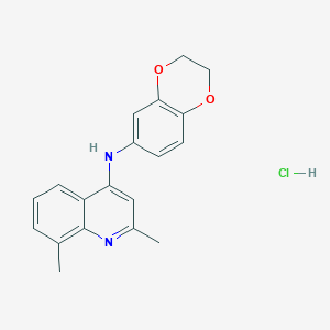 (2,3-Dihydro-benzo[1,4]dioxin-6-yl)-(2,8-dimethyl-quinolin-4-yl)-amine