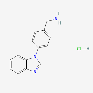 molecular formula C14H14ClN3 B12219676 1-[4-(1H-Benzimidazol-1-yl)phenyl]methanamine hydrochloride 