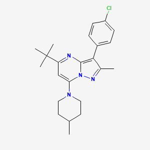 5-Tert-butyl-3-(4-chlorophenyl)-2-methyl-7-(4-methylpiperidin-1-yl)pyrazolo[1,5-a]pyrimidine