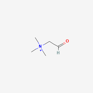 molecular formula C5H12NO+ B1222097 甜菜碱醛 CAS No. 7418-61-3