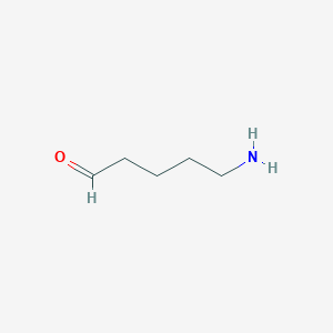 molecular formula C5H11NO B1222117 5-氨基戊醛 CAS No. 14049-15-1