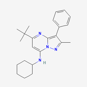 5-tert-butyl-N-cyclohexyl-2-methyl-3-phenylpyrazolo[1,5-a]pyrimidin-7-amine