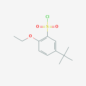 molecular formula C12H17ClO3S B12222130 5-Tert-butyl-2-ethoxybenzene-1-sulfonyl chloride CAS No. 252898-57-0