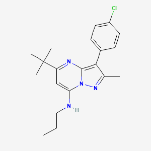 molecular formula C20H25ClN4 B12222133 5-tert-butyl-3-(4-chlorophenyl)-2-methyl-N-propylpyrazolo[1,5-a]pyrimidin-7-amine 