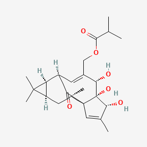 molecular formula C24H34O6 B1222381 Ingenol-20-isobutyrate CAS No. 74690-91-8
