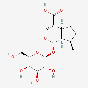 molecular formula C16H24O9 B1222388 8-Epideoxyloganic acid CAS No. 88668-99-9